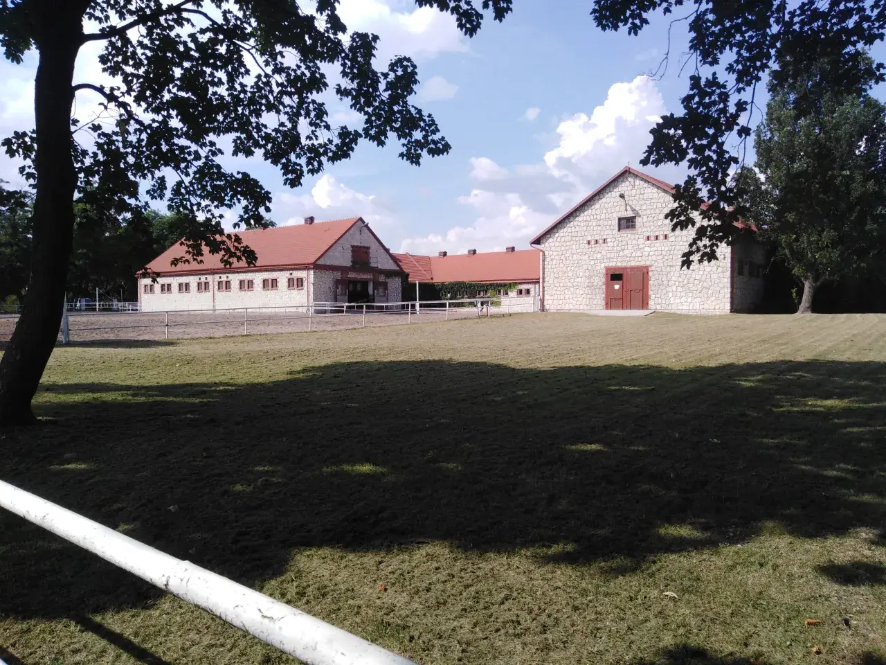 Αραβικά Άλογα Στην Πολωνία