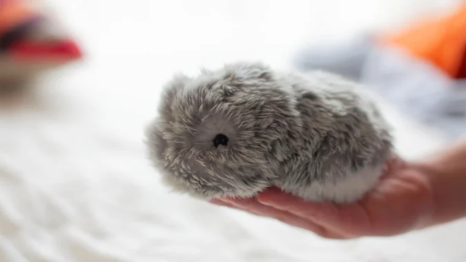 Είναι το Moflin ρομπότ;