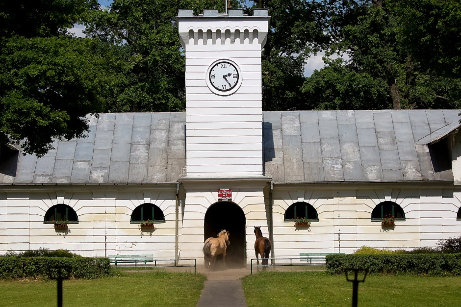 Ιπποφορβεία αραβικών αλόγων στην Πολωνία