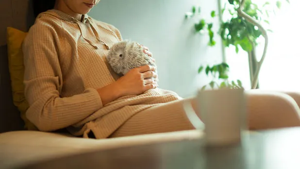 Ιστολόγιο Moflin