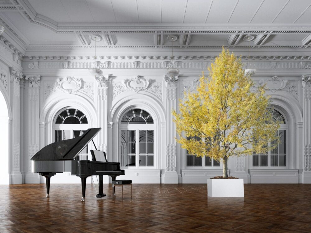 Σταθεροποιημένα φυτά