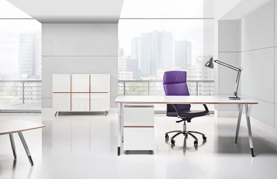 Πολυτελές γραφείο