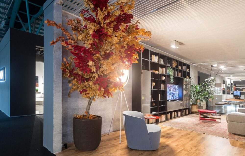 Πώς να σταθεροποιήσετε τα φυτά Blog