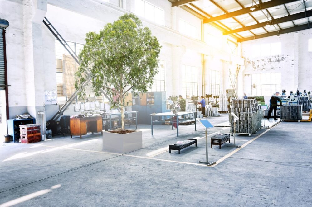 Πώς να σταθεροποιήσετε τα φυτά