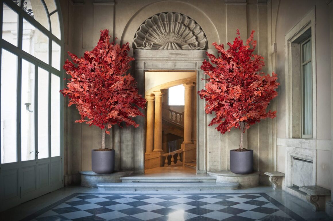 Τι Είναι η Σταθεροποίηση των Φυτών