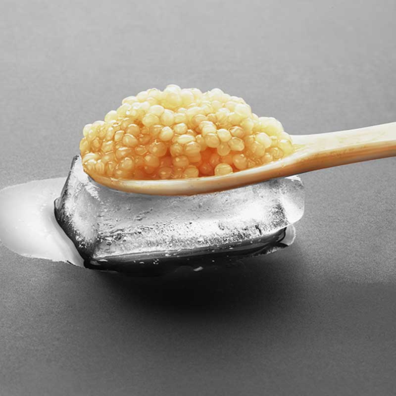 Τι είναι το Kest Kawior