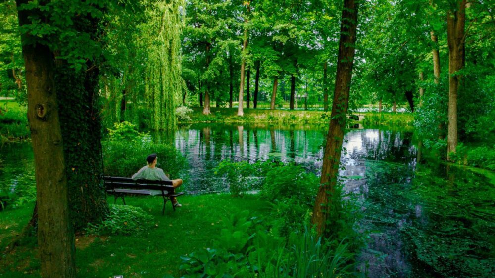 Ξενοδοχείο Manor House Park