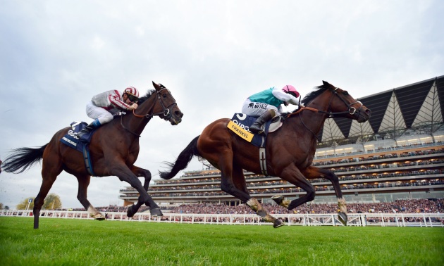 Frankel νικάει τον Cirrus Des Aigles 20 10 12 Φωτογραφία Bill Selwyn